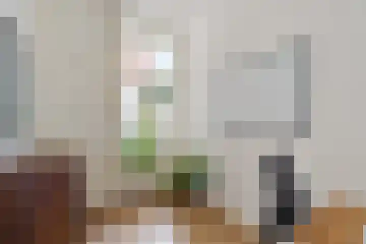 Tesselschadestraat 15 Utrecht thumbnail 26