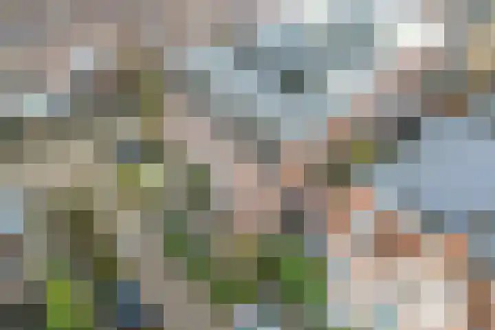 Tesselschadestraat 15 Utrecht thumbnail 32