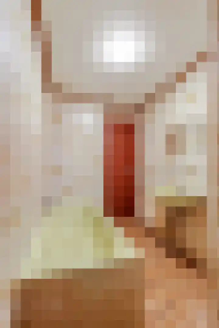 Tesselschadestraat 17 Barneveld thumbnail 18