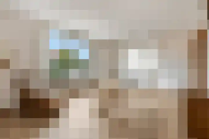 Tesselschadestraat 17 Barneveld thumbnail 9