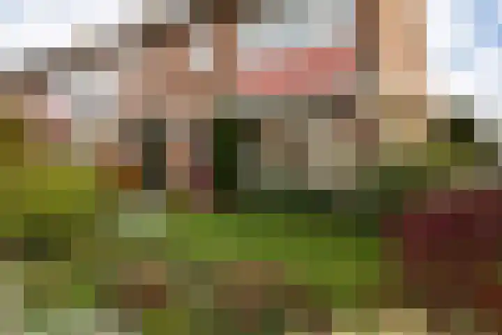 Tesselschadestraat 2 Barneveld thumbnail 7