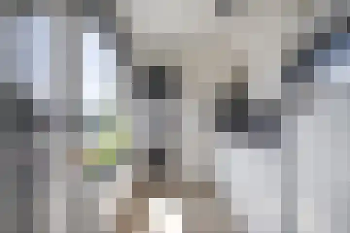 Tesselschadestraat 2 Hendrik-Ido-Ambacht thumbnail 4