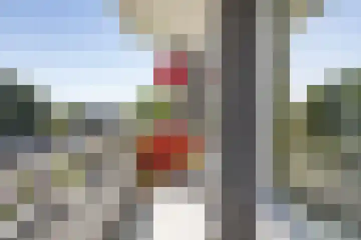 Tesselschadestraat 2 Hendrik-Ido-Ambacht thumbnail 5