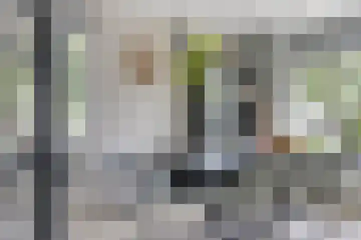Tesselschadestraat 2 Hendrik-Ido-Ambacht thumbnail 7
