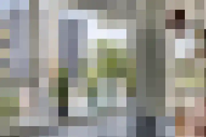 Tesselschadestraat 2 Hendrik-Ido-Ambacht thumbnail 9