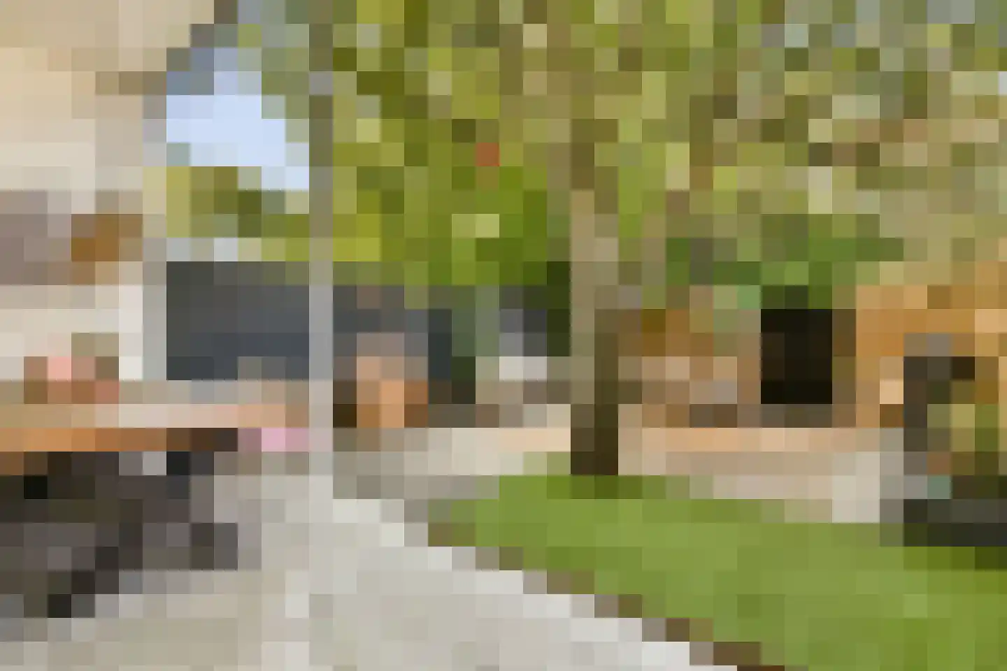 Tesselschadestraat 21 Dordrecht thumbnail 20