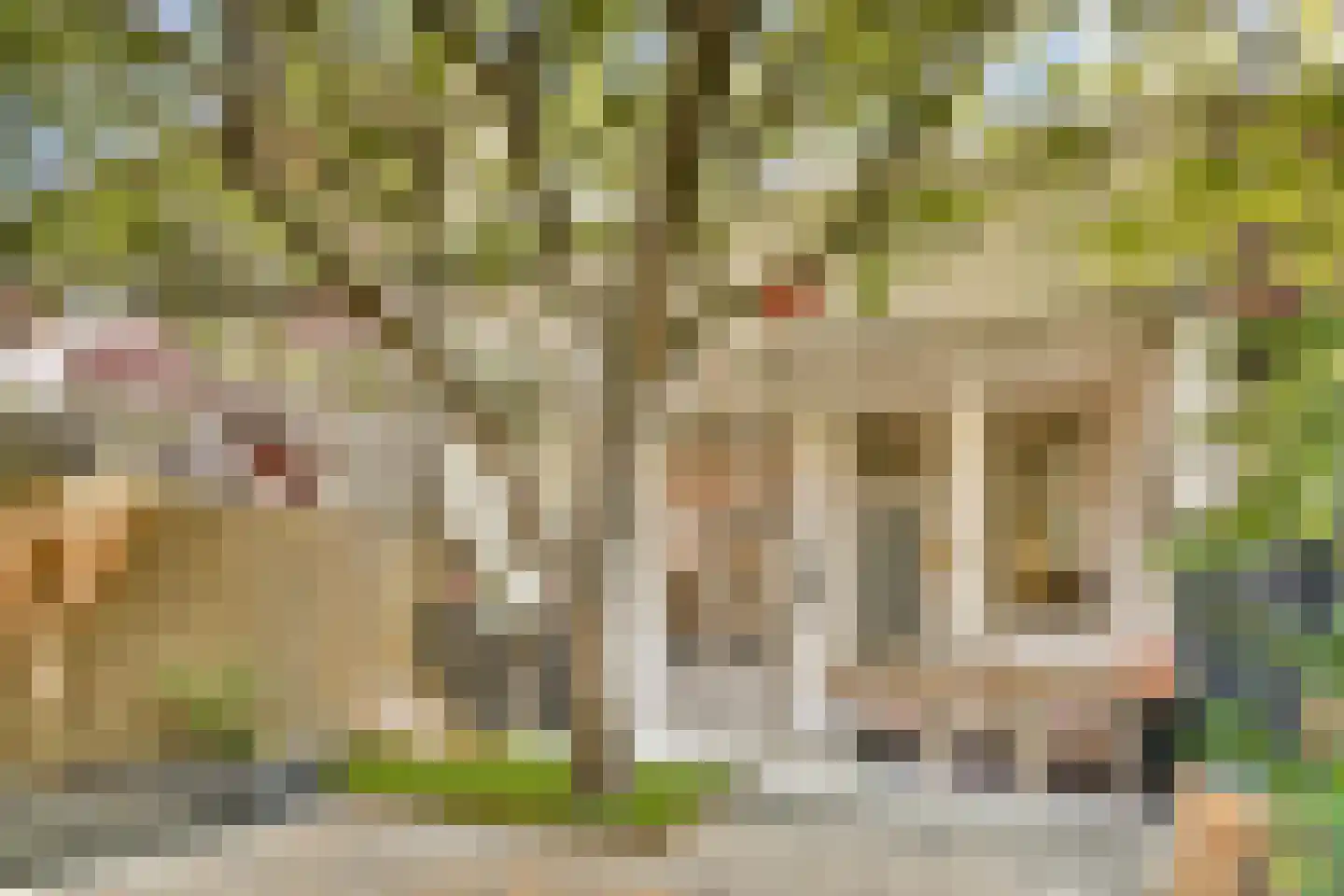 Tesselschadestraat 21 Dordrecht thumbnail 22