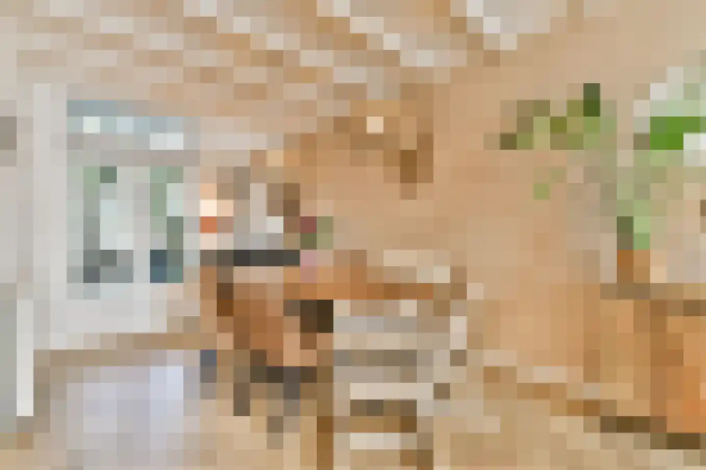 Tesselschadestraat 21 Dordrecht thumbnail 5