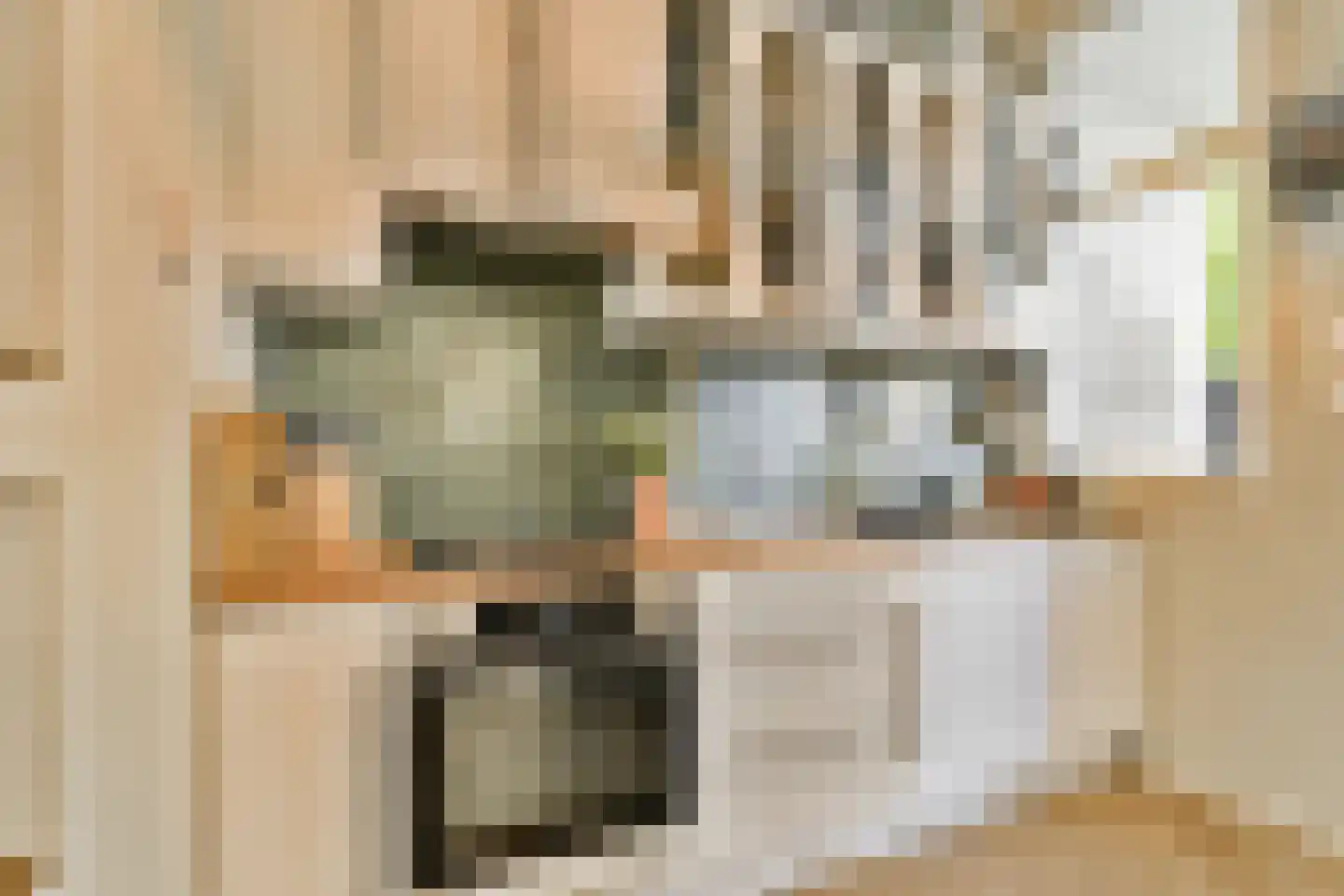 Tesselschadestraat 21 Dordrecht thumbnail 6