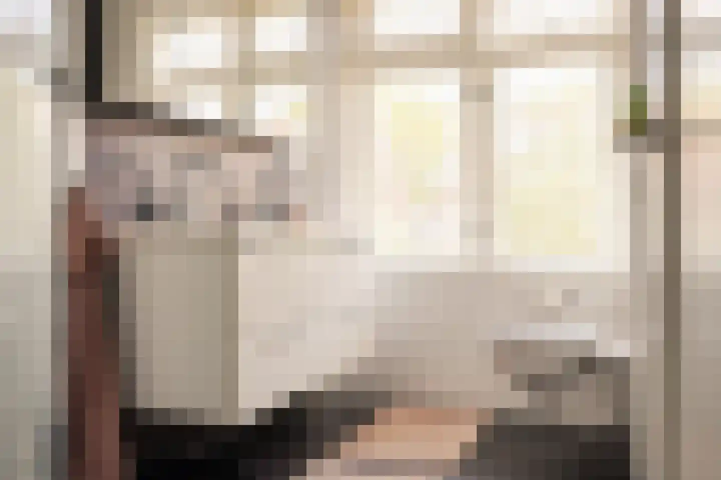 Tesselschadestraat 21 Haarlem thumbnail 18