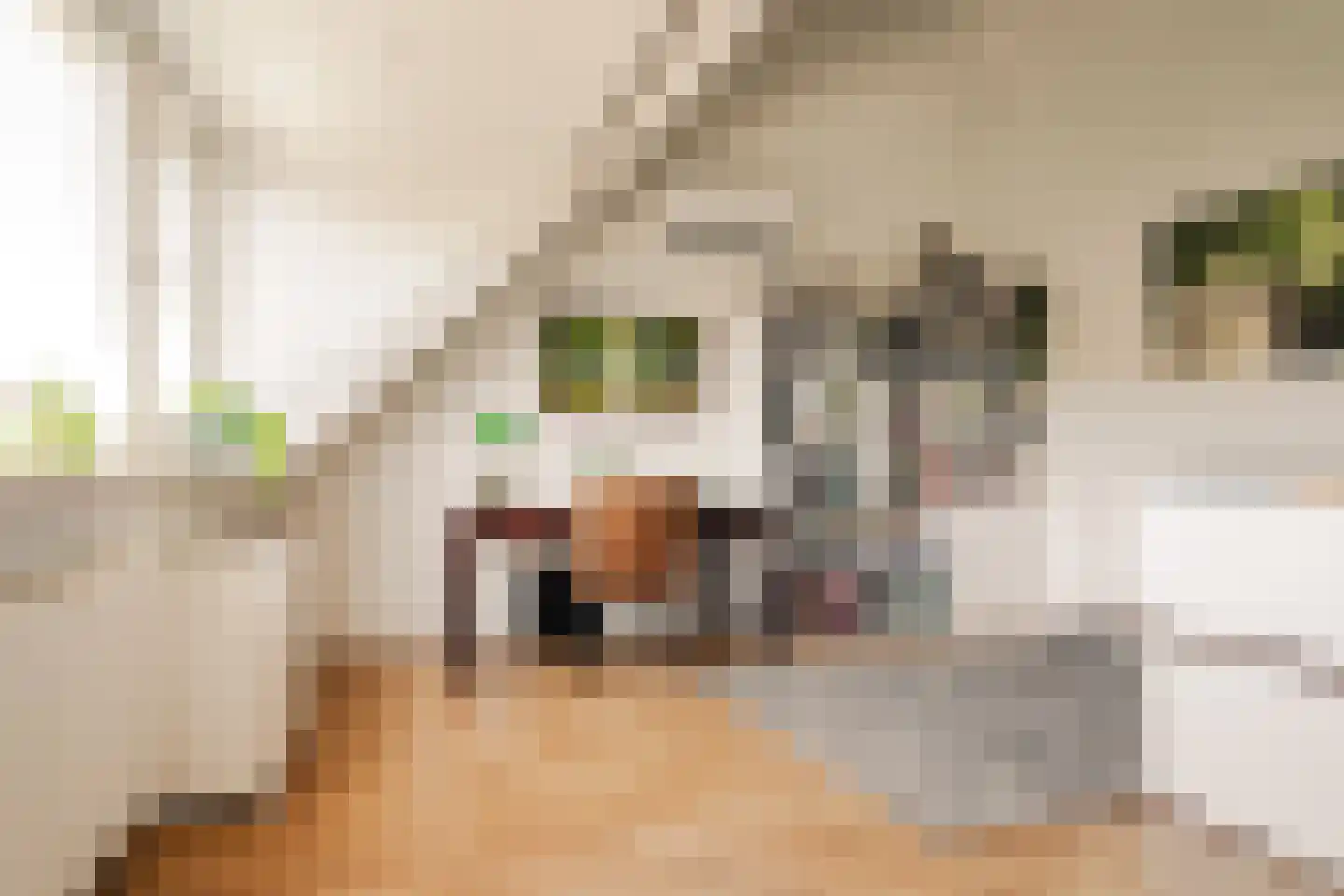 Tesselschadestraat 21 Haarlem thumbnail 23