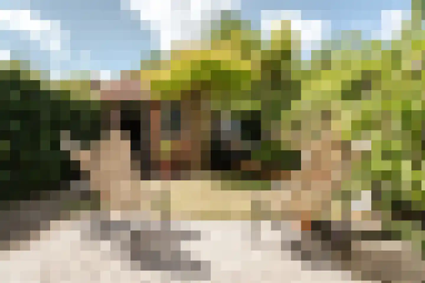 Tesselschadestraat 21 Haarlem thumbnail 6