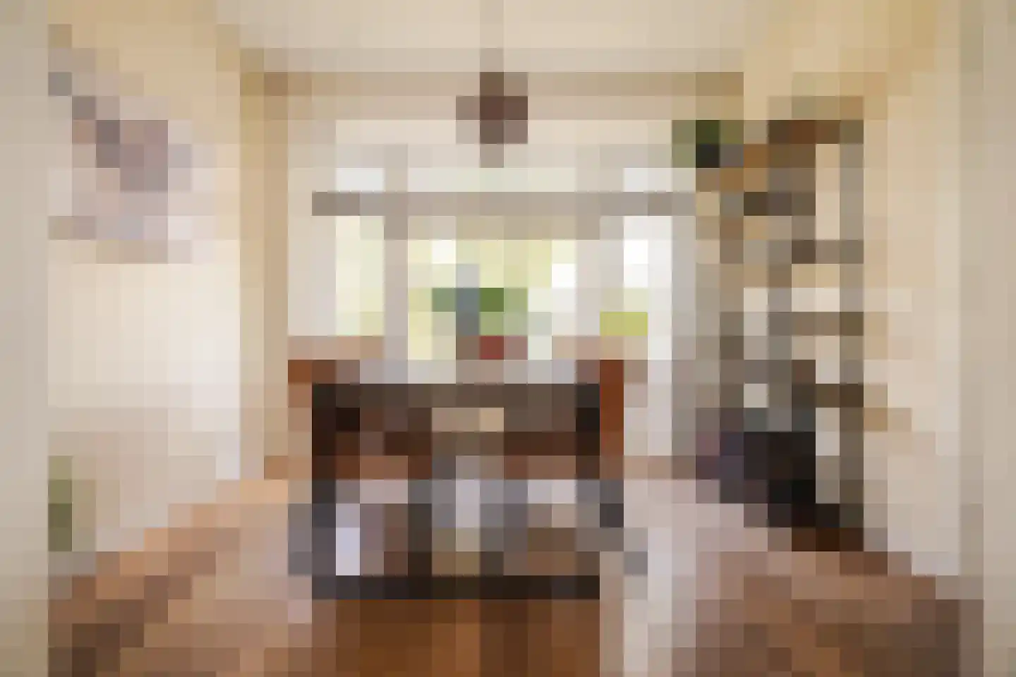 Tesselschadestraat 21 Haarlem thumbnail 8