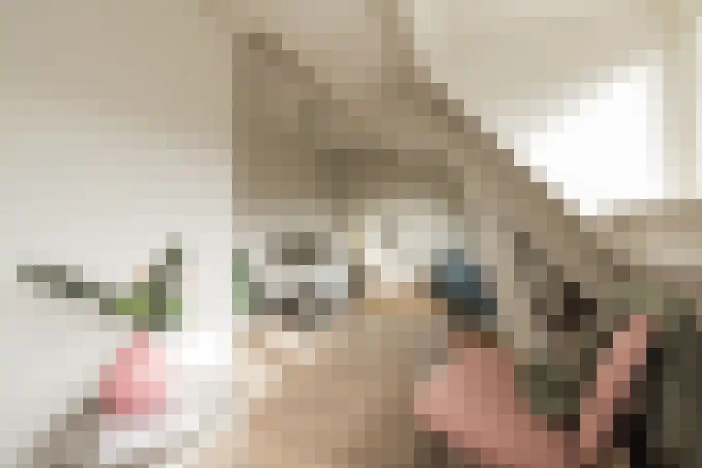 Tesselschadestraat 24 A Leiden thumbnail 41