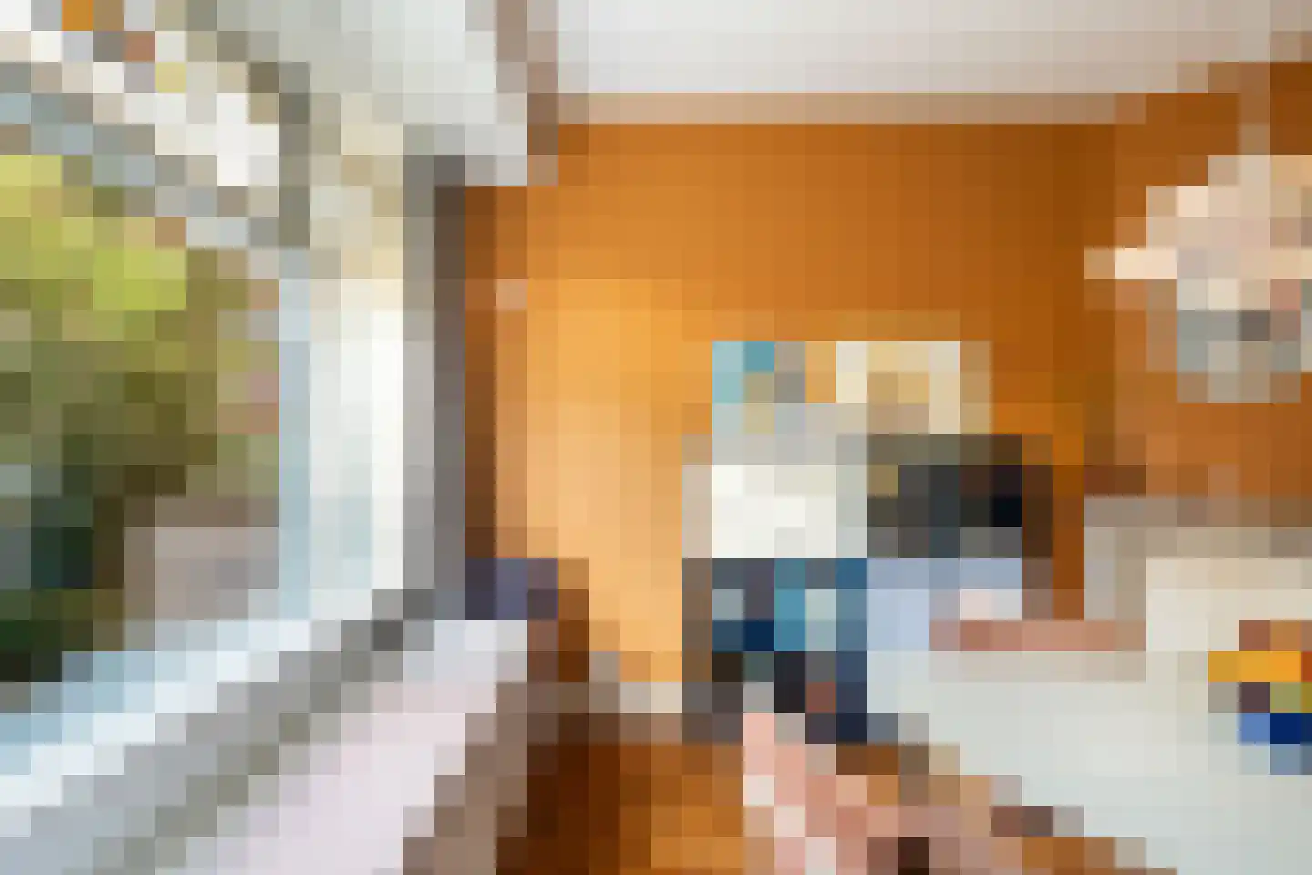 Tesselschadestraat 26 Leiden thumbnail 5