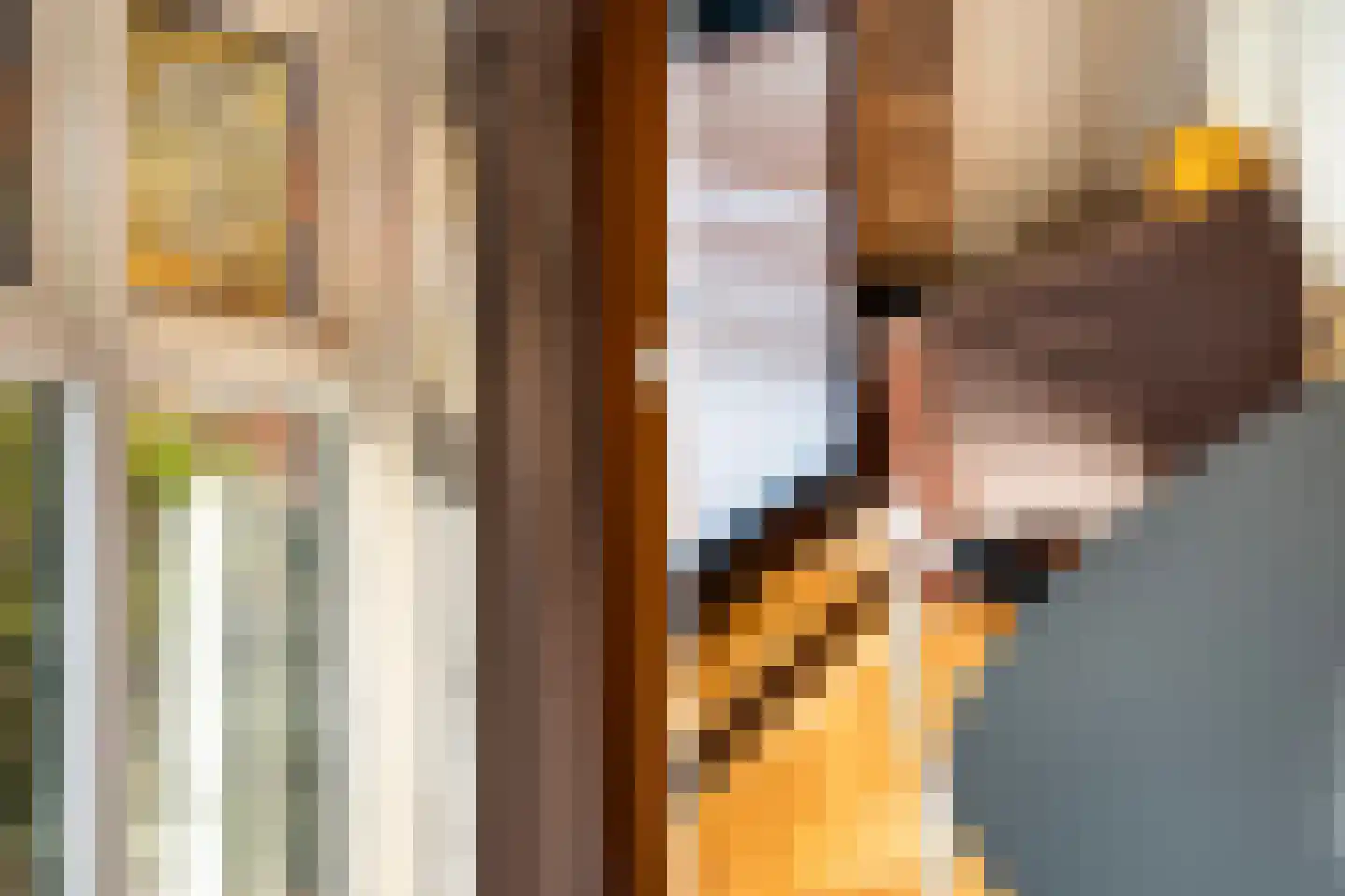 Tesselschadestraat 26 Leiden thumbnail 7