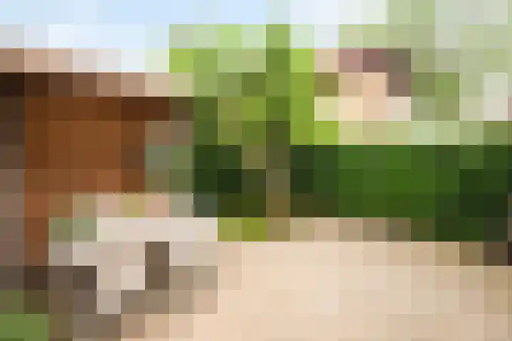 Tesselschadestraat 29 Zwolle thumbnail 18