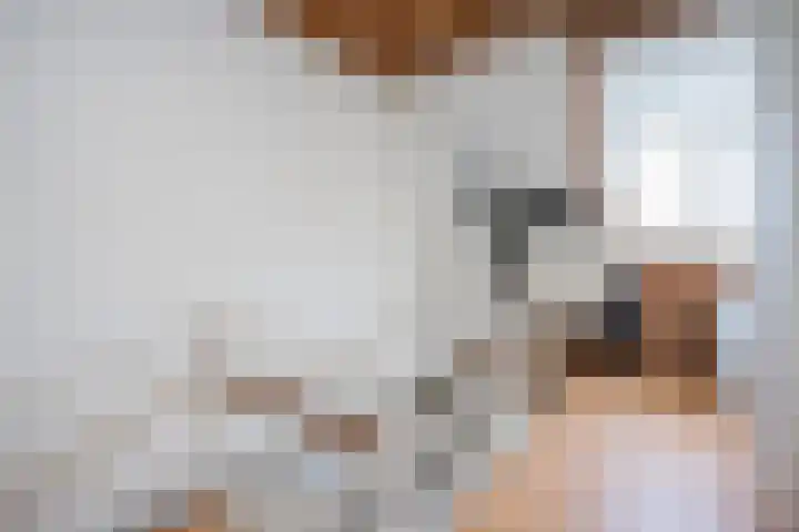 Tesselschadestraat 29 Zwolle thumbnail 31