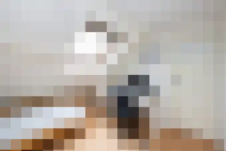Tesselschadestraat 29 Zwolle thumbnail 35