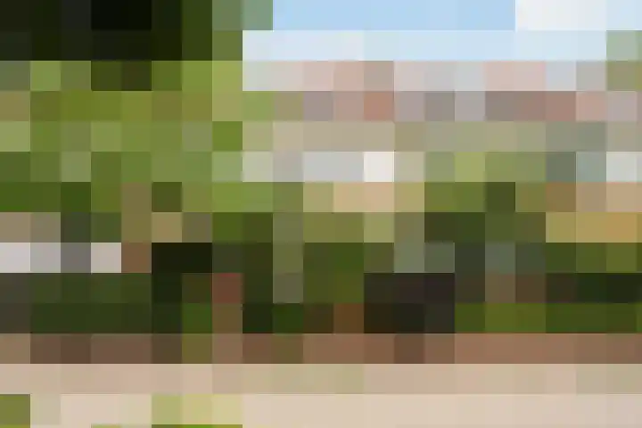 Tesselschadestraat 29 Zwolle thumbnail 44
