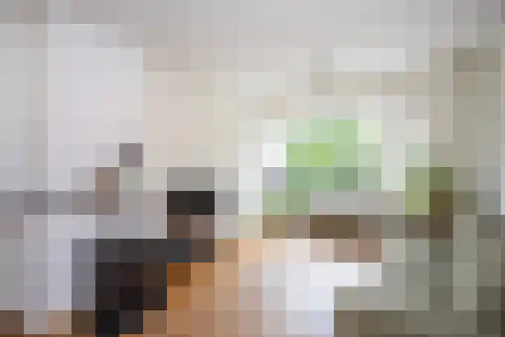 Tesselschadestraat 29 Zwolle thumbnail 8