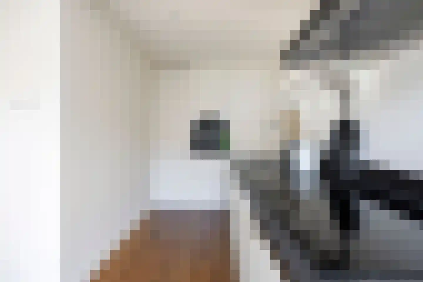 Tesselschadestraat 3 Maarssen thumbnail 14