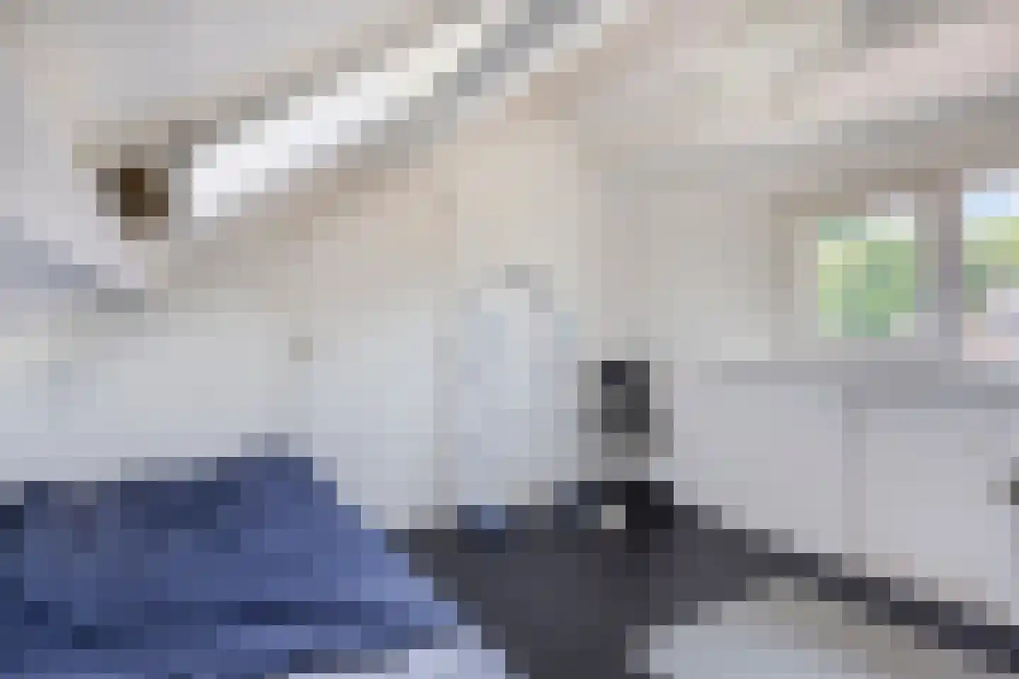 Tesselschadestraat 3 Maarssen thumbnail 30