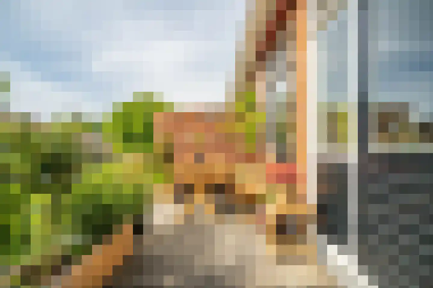 Tesselschadestraat 31 A Leiden thumbnail 27