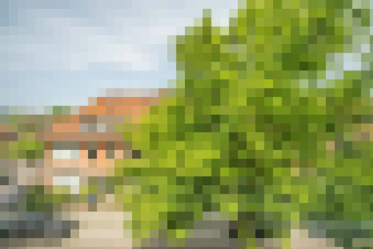 Tesselschadestraat 31 A Leiden thumbnail 52