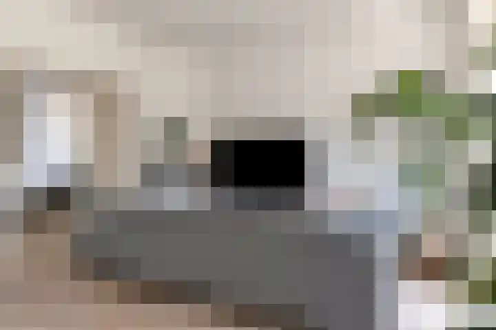 Tesselschadestraat 31 Leiden thumbnail 18