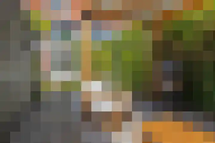 Tesselschadestraat 31 Leiden thumbnail 32