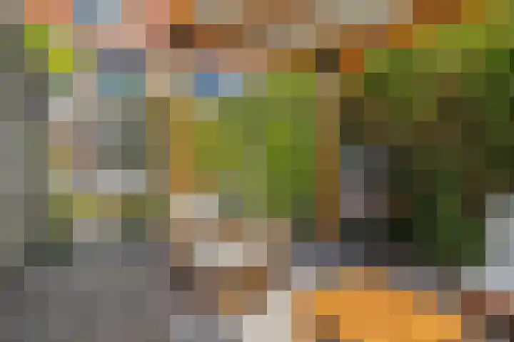 Tesselschadestraat 31 Leiden thumbnail 33