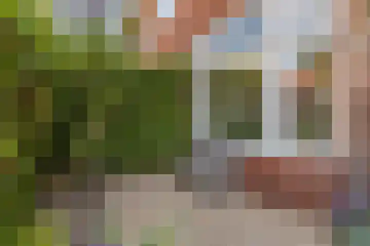 Tesselschadestraat 31 Leiden thumbnail 7