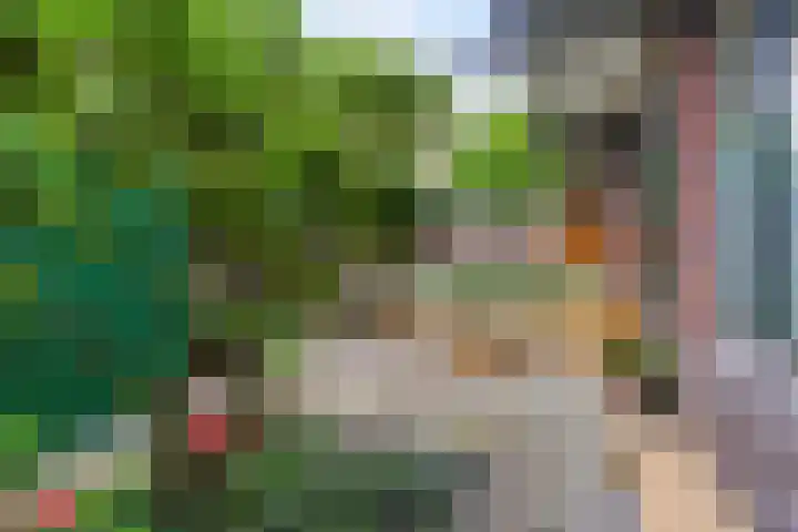 Tesselschadestraat 38 Leiden thumbnail 4
