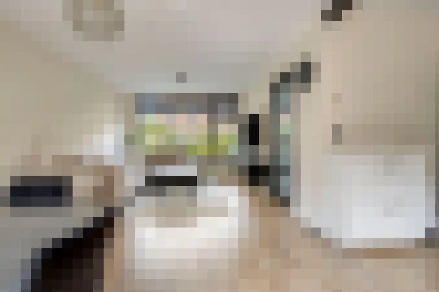 Tesselschadestraat 39 Deventer thumbnail 9