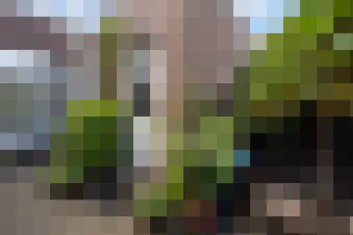 Tesselschadestraat 4 Dordrecht thumbnail 22