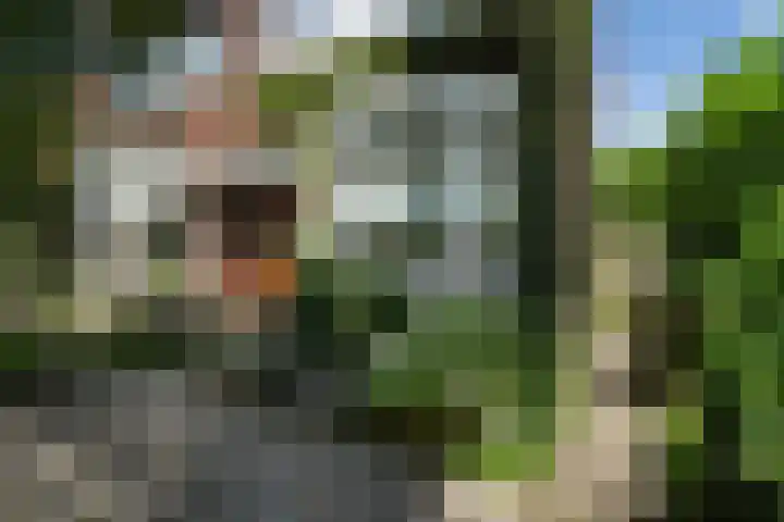 Tesselschadestraat 4 Dordrecht thumbnail 7
