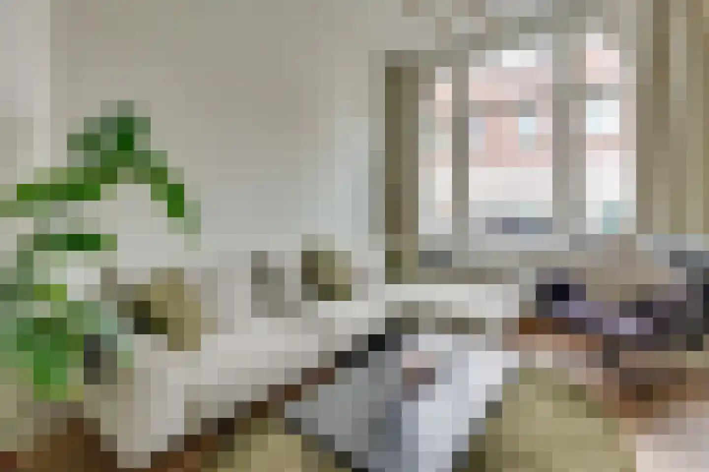 Tesselschadestraat 4 Utrecht thumbnail 13