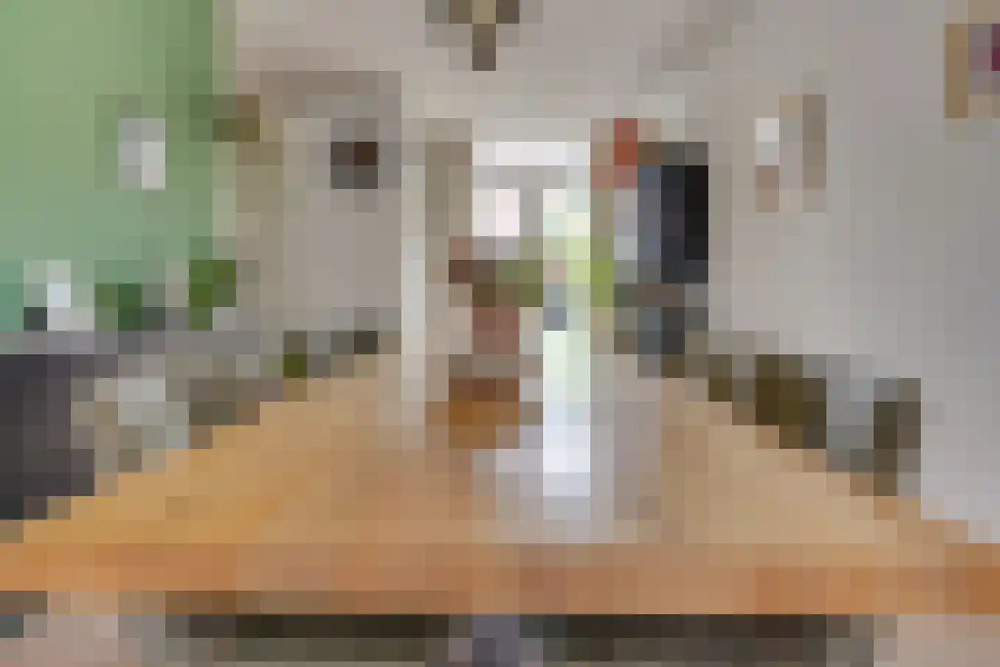 Tesselschadestraat 4 Utrecht thumbnail 17