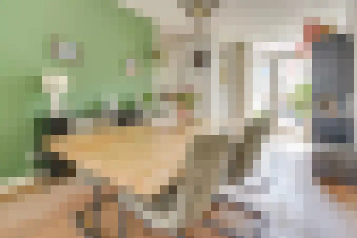 Tesselschadestraat 4 Utrecht thumbnail 18