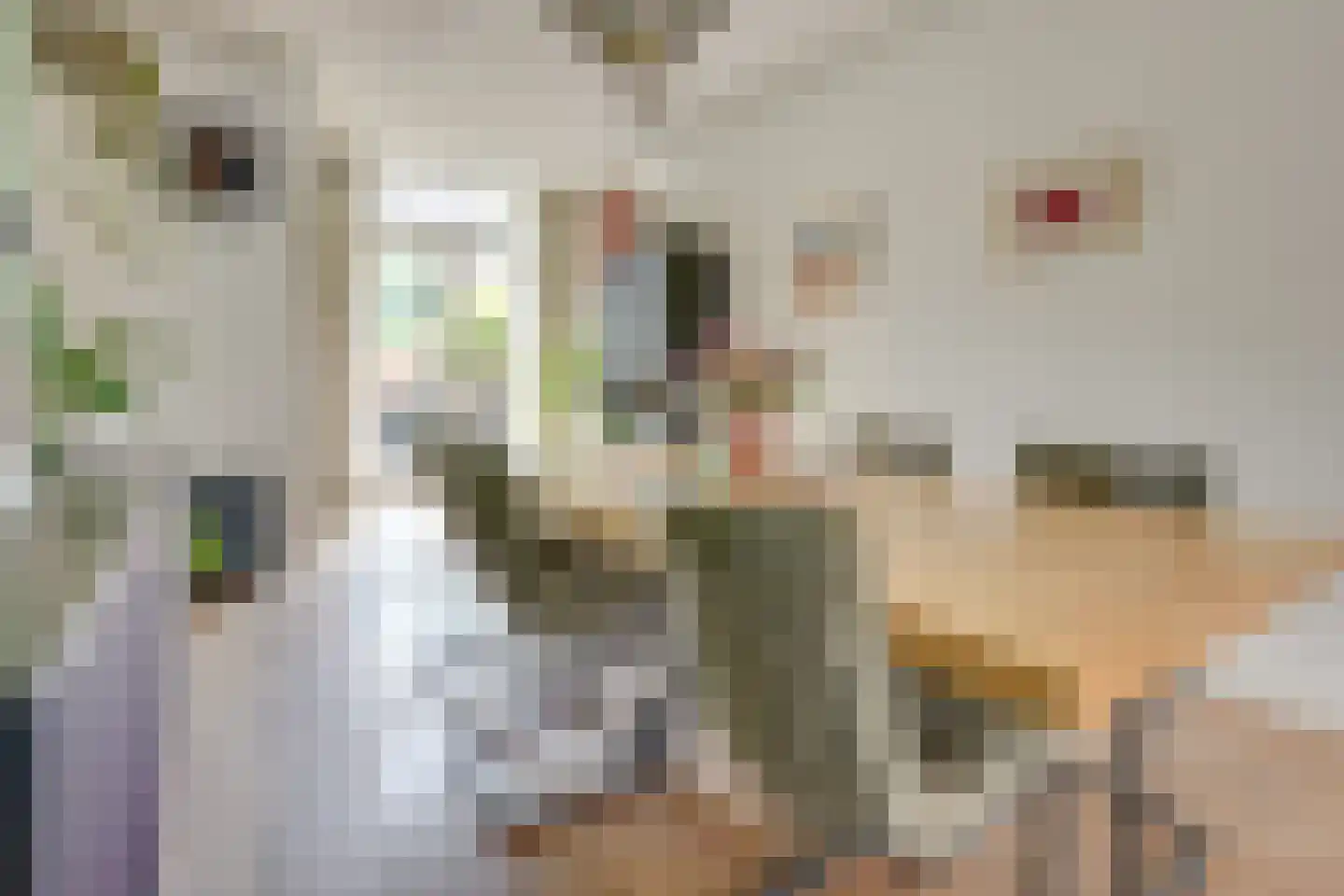 Tesselschadestraat 4 Utrecht thumbnail 19