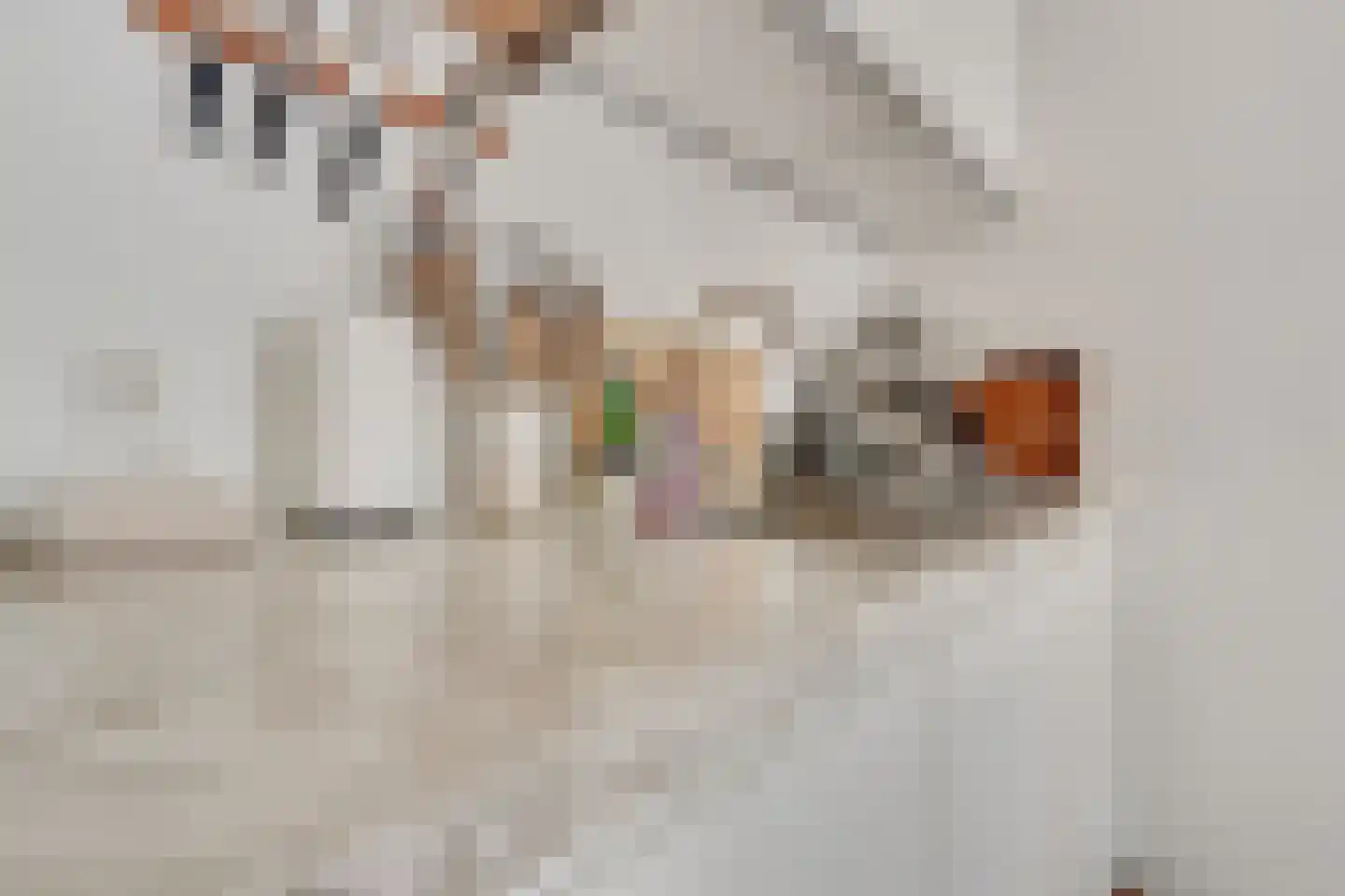 Tesselschadestraat 4 Utrecht thumbnail 27