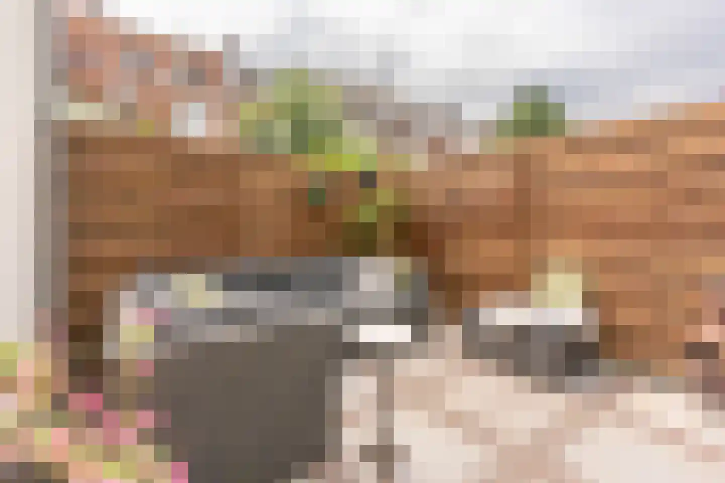 Tesselschadestraat 4 Utrecht thumbnail 39