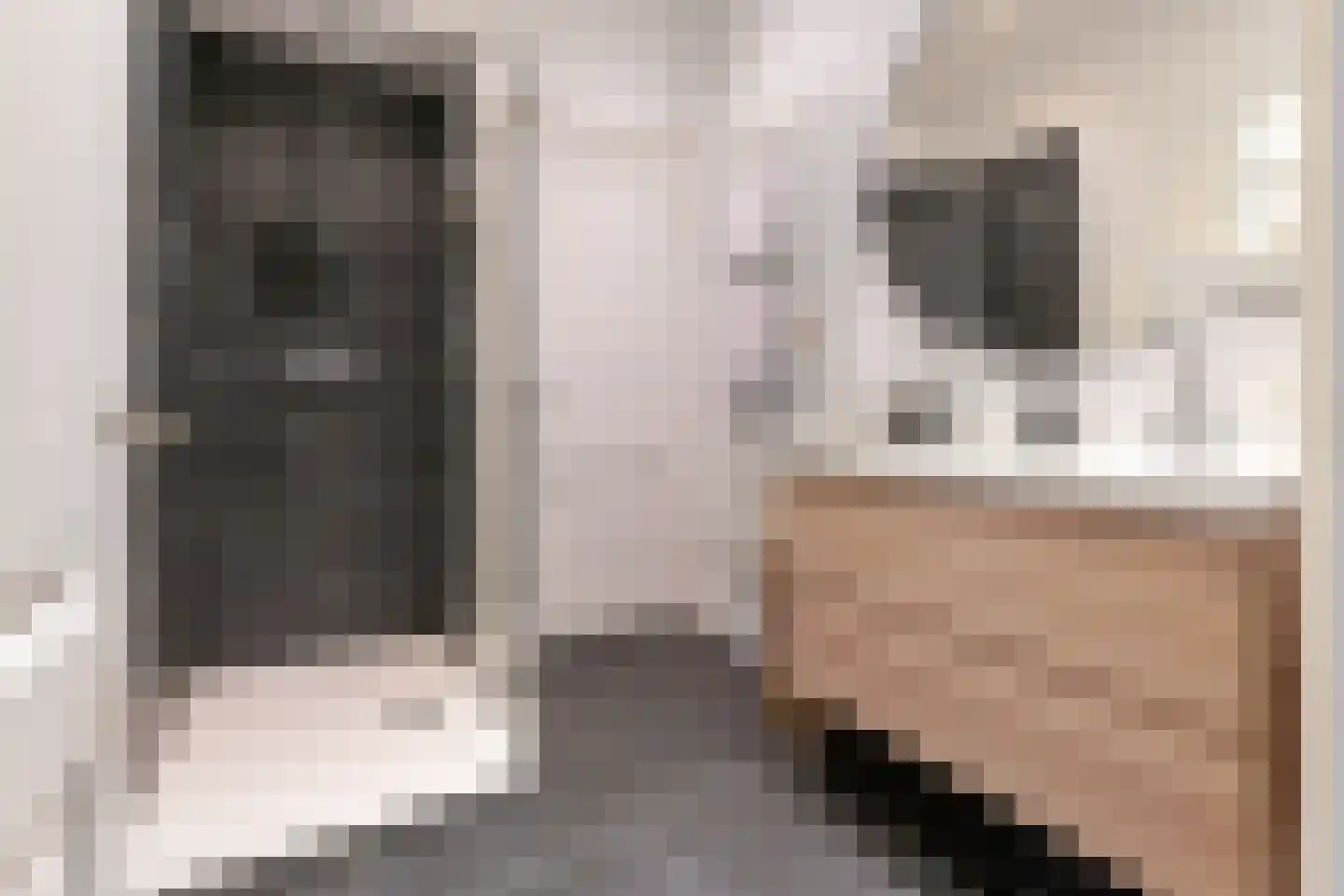 Tesselschadestraat 4 Utrecht thumbnail 54