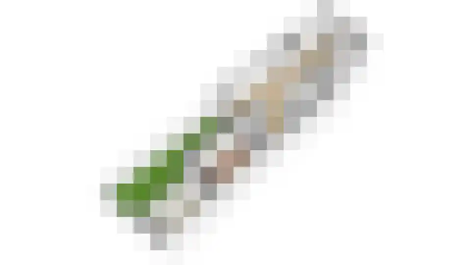 Tesselschadestraat 4 Utrecht thumbnail 62