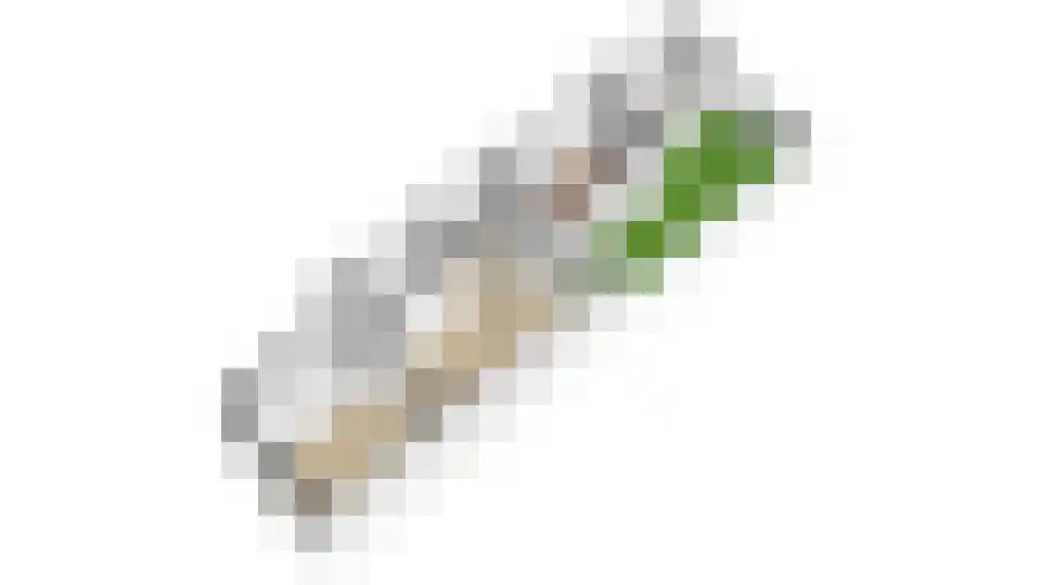 Tesselschadestraat 4 Utrecht thumbnail 63
