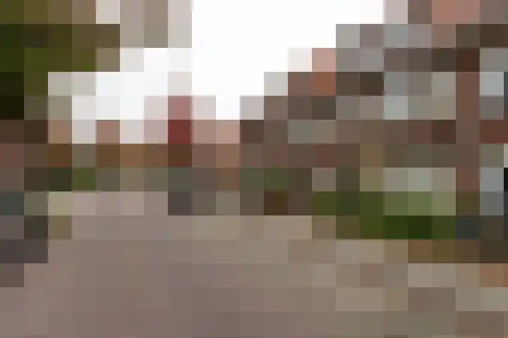 Tesselschadestraat 40 Leiden thumbnail 21