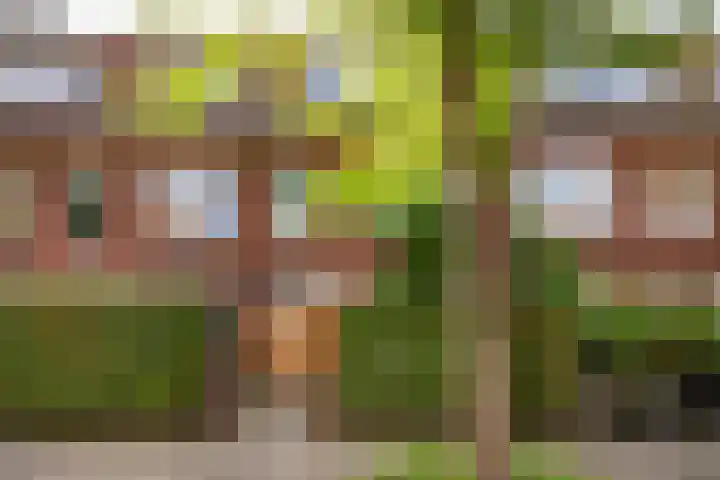 Tesselschadestraat 5 in Leiden