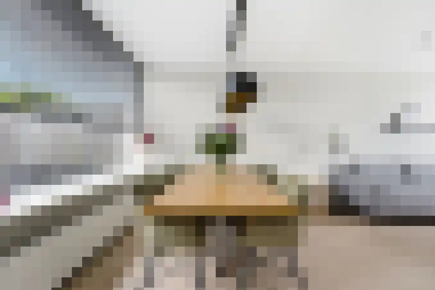 Tesselschadestraat 5 Hendrik-Ido-Ambacht thumbnail 10