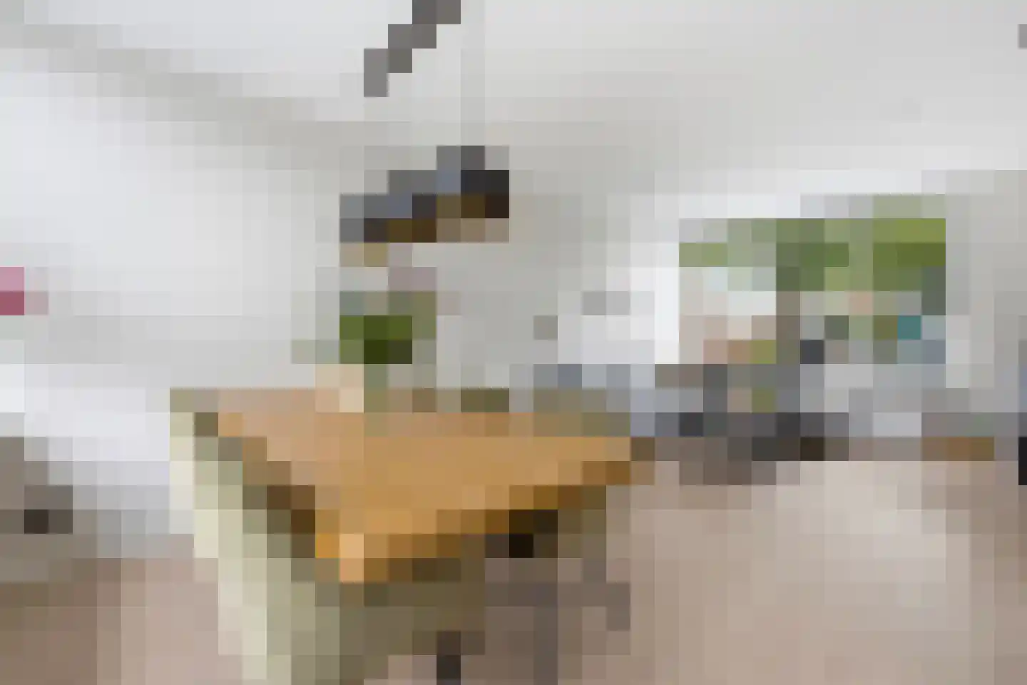 Tesselschadestraat 5 Hendrik-Ido-Ambacht thumbnail 12